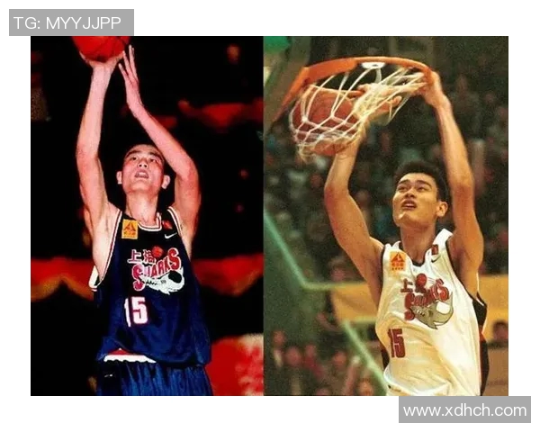 姚明与鲨鱼的奇妙互动视频揭示运动员与海洋生物的亲密关系