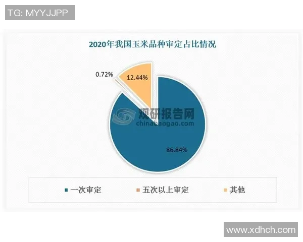 房博士姚明：探索房产投资新机遇与市场趋势的深度分析