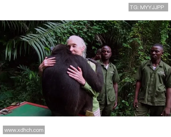 黑猩猩足球明星的传奇故事与成就揭秘